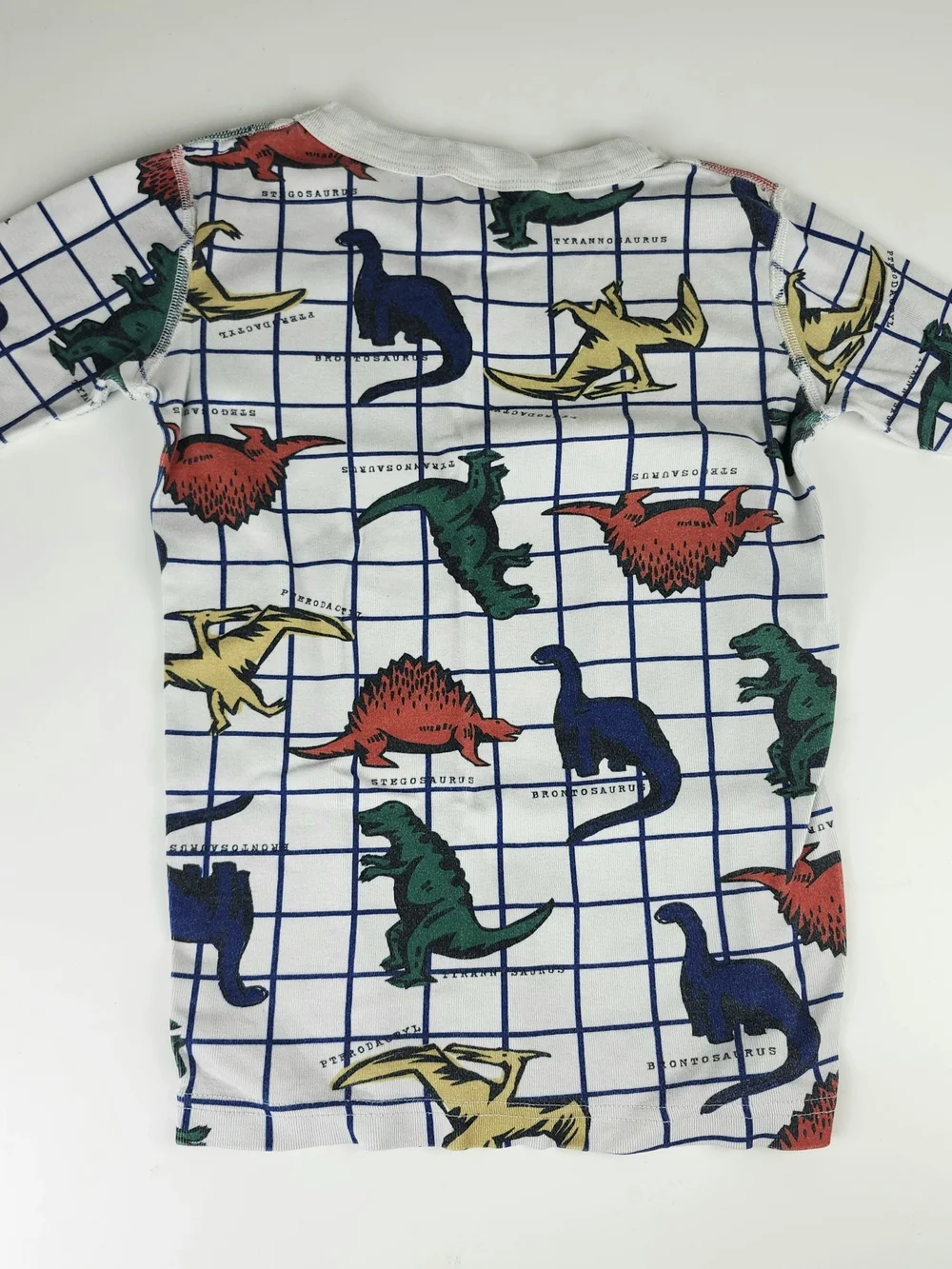 Hanna Andersson Pajama Set with Red Green Blue Yellow Dinosaurs